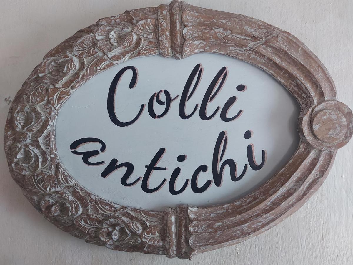 סונה B&B Corte Colli Antichi מראה חיצוני תמונה